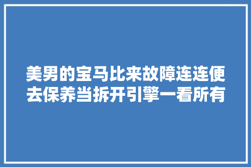 美男的宝马比来故障连连便去保养当拆开引擎一看所有人都吐了