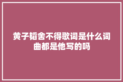 黄子韬舍不得歌词是什么词曲都是他写的吗