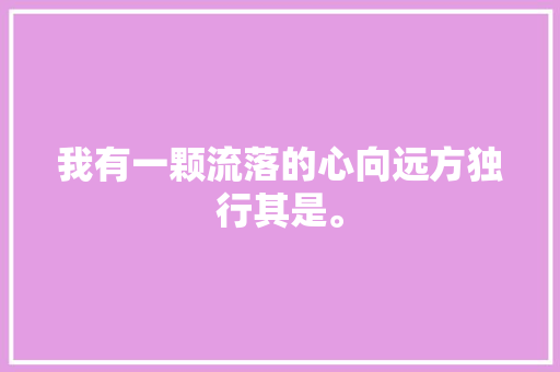我有一颗流落的心向远方独行其是。  第1张