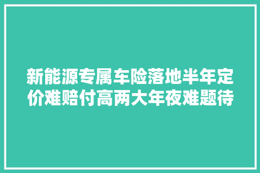 新能源专属车险落地半年定价难赔付高两大年夜难题待解