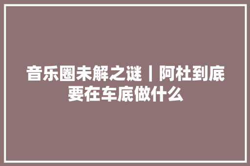 音乐圈未解之谜｜阿杜到底要在车底做什么  第1张