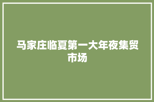 马家庄临夏第一大年夜集贸市场