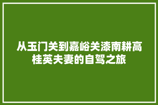 从玉门关到嘉峪关漆南耕高桂英夫妻的自驾之旅  第1张