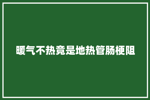 暖气不热竟是地热管肠梗阻  第1张