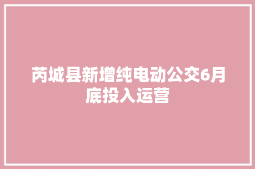 芮城县新增纯电动公交6月底投入运营  第1张
