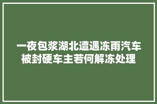 一夜包浆湖北遭遇冻雨汽车被封硬车主若何解冻处理  第1张