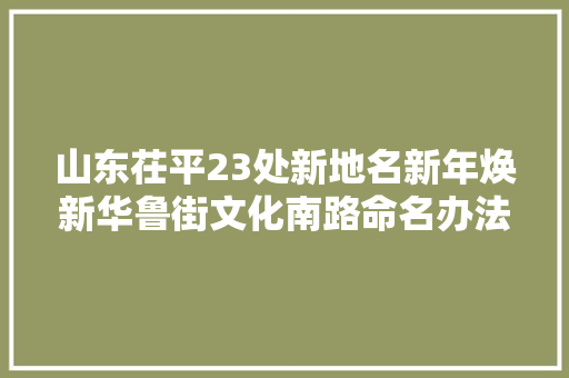 山东茌平23处新地名新年焕新华鲁街文化南路命名办法存在争议  第1张