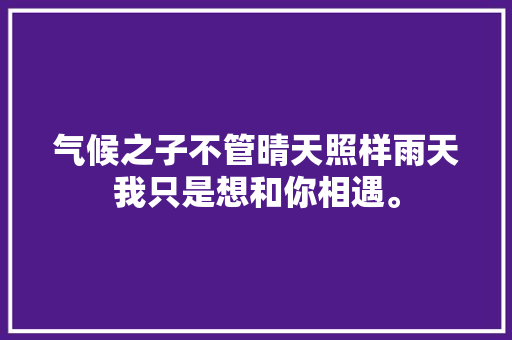 气候之子不管晴天照样雨天我只是想和你相遇。  第1张
