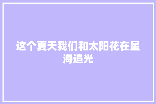 这个夏天我们和太阳花在星海追光