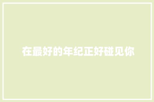  在最好的年纪正好碰见你 第1张