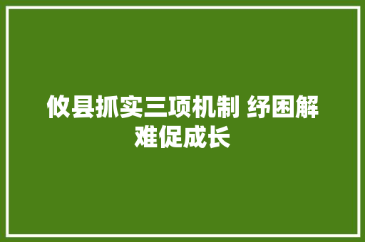 攸县抓实三项机制 纾困解难促成长  第1张