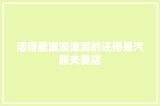 活得最滋润津润的还得是汽服夫妻店