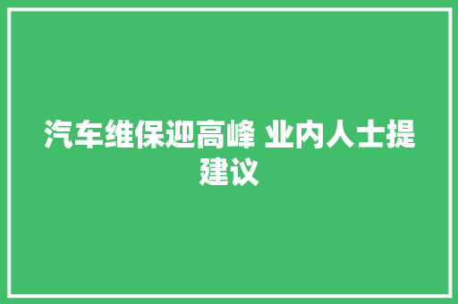 汽车维保迎高峰 业内人士提建议 汽车知识