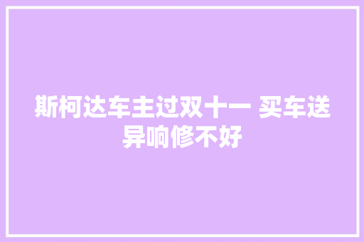 斯柯达车主过双十一 买车送异响修不好  第1张