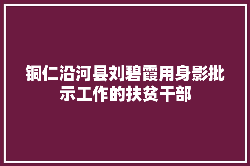 铜仁沿河县刘碧霞用身影批示工作的扶贫干部