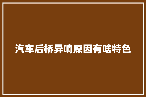 汽车后桥异响原因有啥特色