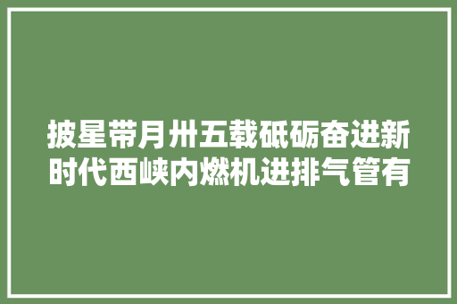 披星带月卅五载砥砺奋进新时代西峡内燃机进排气管有限责任公司成长纪实  第1张