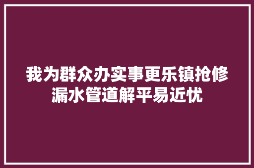 我为群众办实事更乐镇抢修漏水管道解平易近忧  第1张