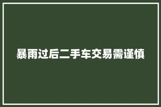 暴雨过后二手车交易需谨慎