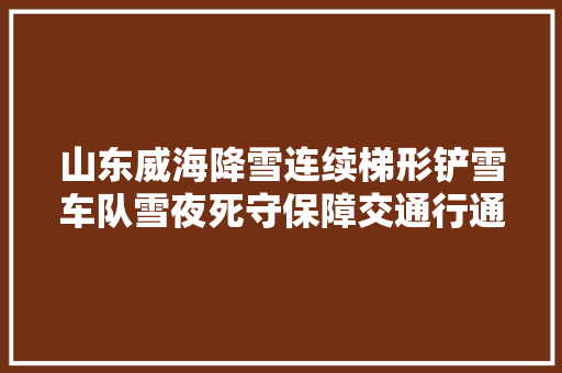 山东威海降雪连续梯形铲雪车队雪夜死守保障交通行通  第1张