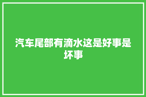汽车尾部有滴水这是好事是坏事  第1张
