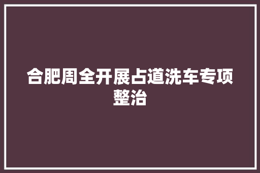 合肥周全开展占道洗车专项整治  第1张