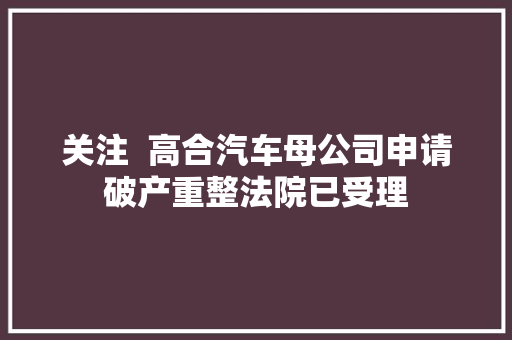 关注  高合汽车母公司申请破产重整法院已受理 第1张