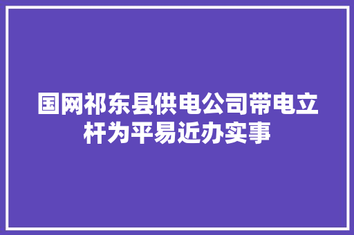 国网祁东县供电公司带电立杆为平易近办实事  第1张