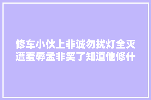 修车小伙上非诚勿扰灯全灭遭羞辱孟非笑了知道他修什么车  第1张