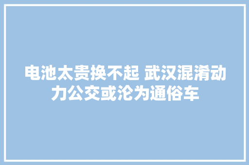 电池太贵换不起 武汉混淆动力公交或沦为通俗车