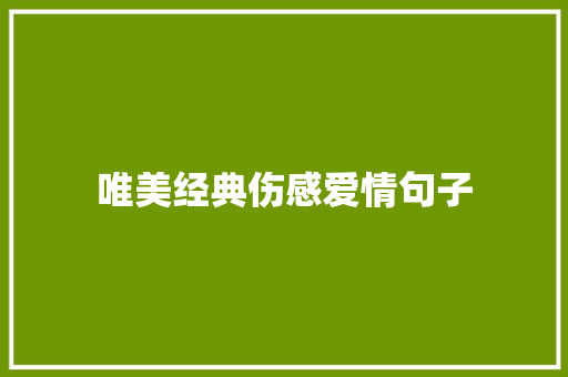 唯美经典伤感爱情句子 知识百科