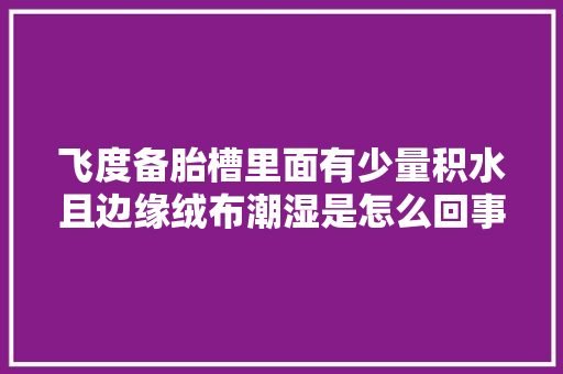 飞度备胎槽里面有少量积水且边缘绒布潮湿是怎么回事
