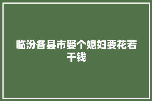 临汾各县市娶个媳妇要花若干钱 汽车知识