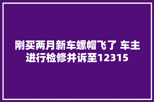 刚买两月新车螺帽飞了 车主进行检修并诉至12315 汽车知识