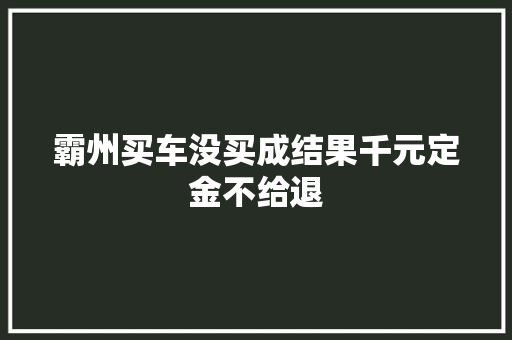 霸州买车没买成结果千元定金不给退
