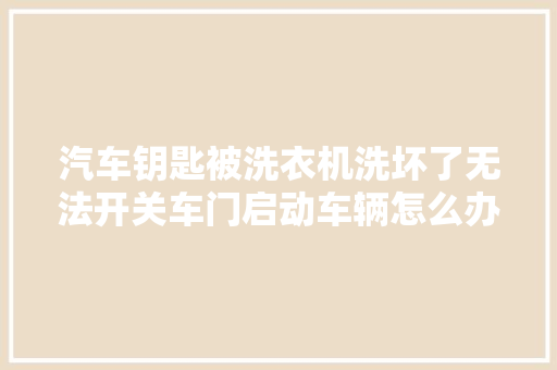 汽车钥匙被洗衣机洗坏了无法开关车门启动车辆怎么办 汽车知识