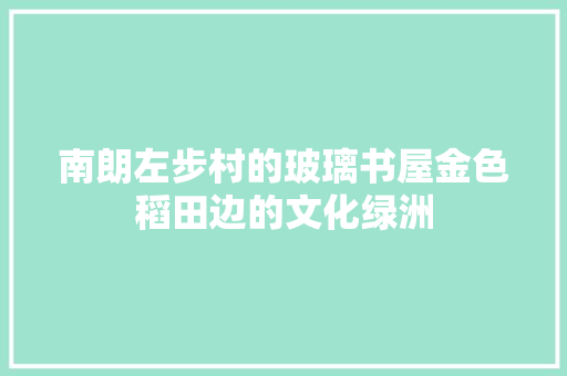 南朗左步村的玻璃书屋金色稻田边的文化绿洲