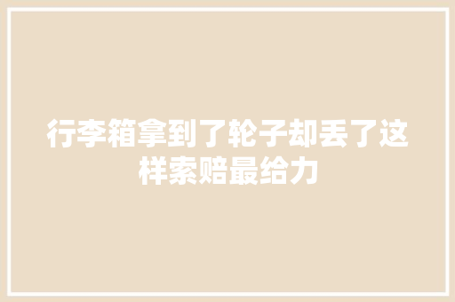行李箱拿到了轮子却丢了这样索赔最给力 汽车知识