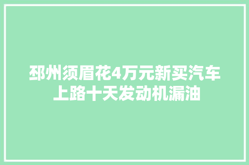 邳州须眉花4万元新买汽车 上路十天发动机漏油 汽车知识
