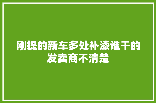 刚提的新车多处补漆谁干的发卖商不清楚