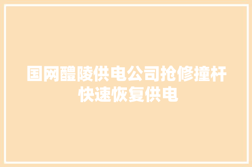 国网醴陵供电公司抢修撞杆 快速恢复供电