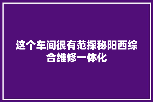 这个车间很有范探秘阳西综合维修一体化 汽车知识