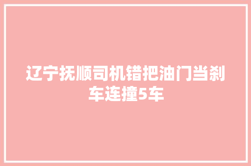 辽宁抚顺司机错把油门当刹车连撞5车 汽车知识