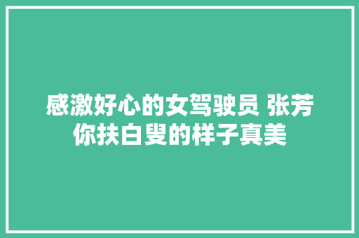 感激好心的女驾驶员 张芳你扶白叟的样子真美 汽车知识