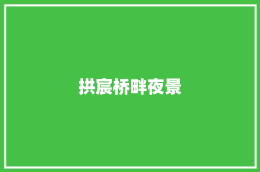 拱宸桥畔夜景