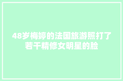 48岁梅婷的法国旅游照打了若干精修女明星的脸 汽车知识