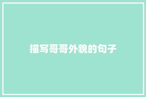 描写哥哥外貌的句子 知识百科