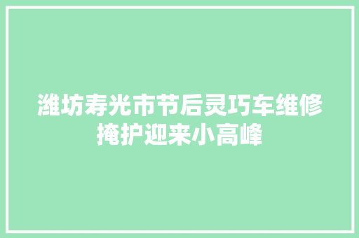潍坊寿光市节后灵巧车维修掩护迎来小高峰 汽车知识