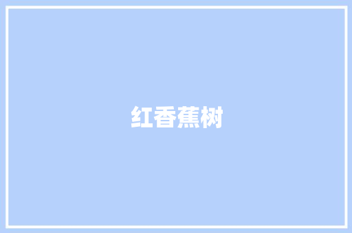 红香蕉树