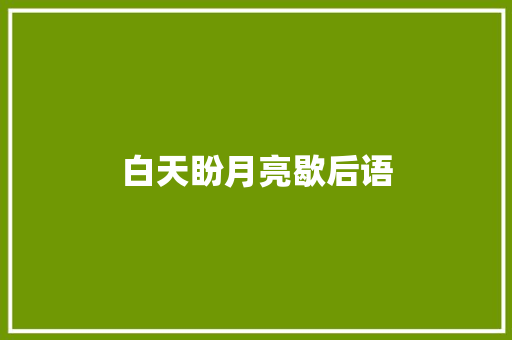 白天盼月亮歇后语 知识百科